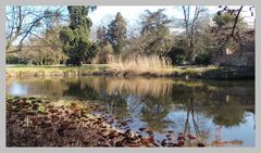 Köln: Ein Besuch in der "Flora", dem Botanischen Garten von Köln, lohnt sich immer