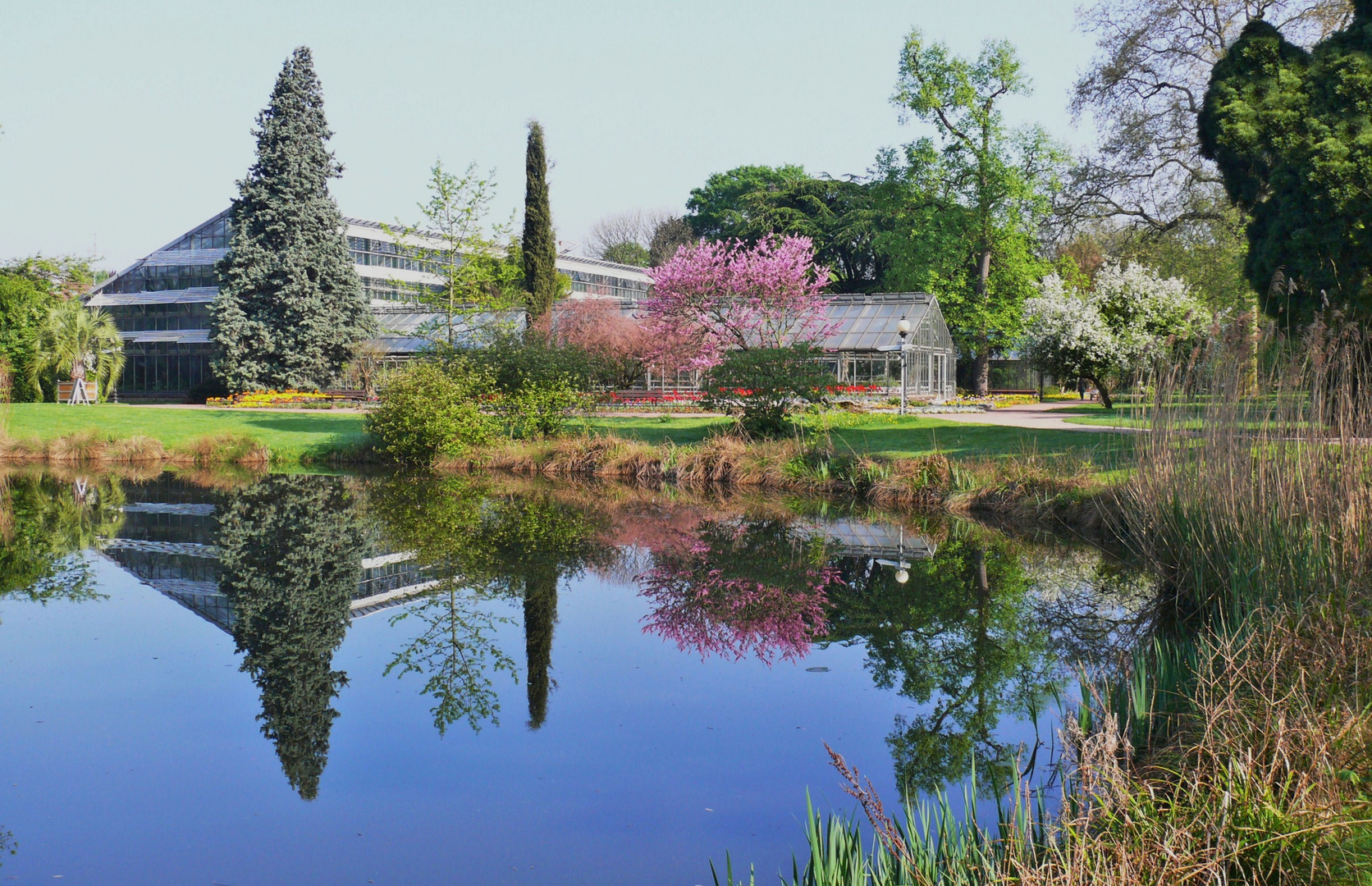 Köln  -  Flora (Botanischer Garten)