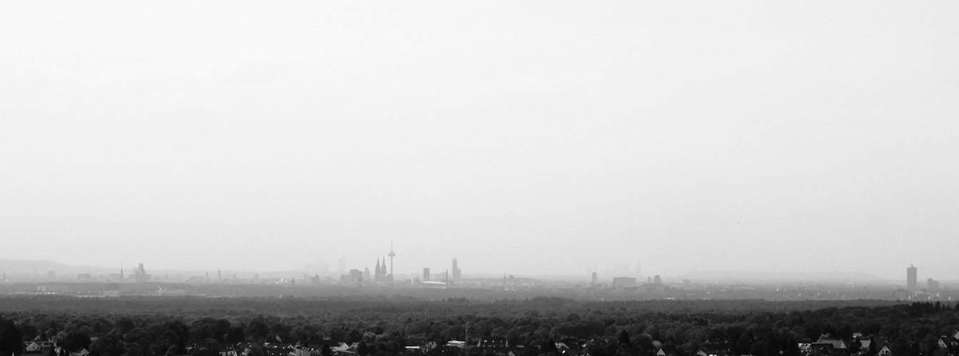 Köln---Grey Panorama