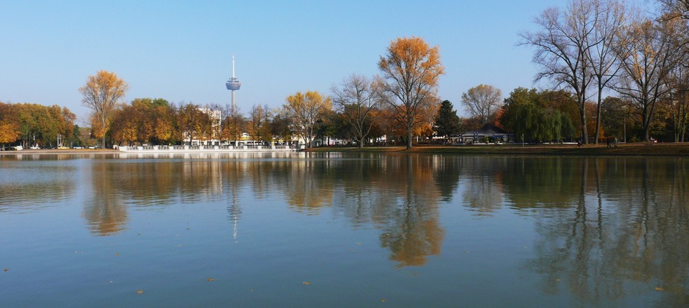 Köln - Herbst am Aachener Weiher