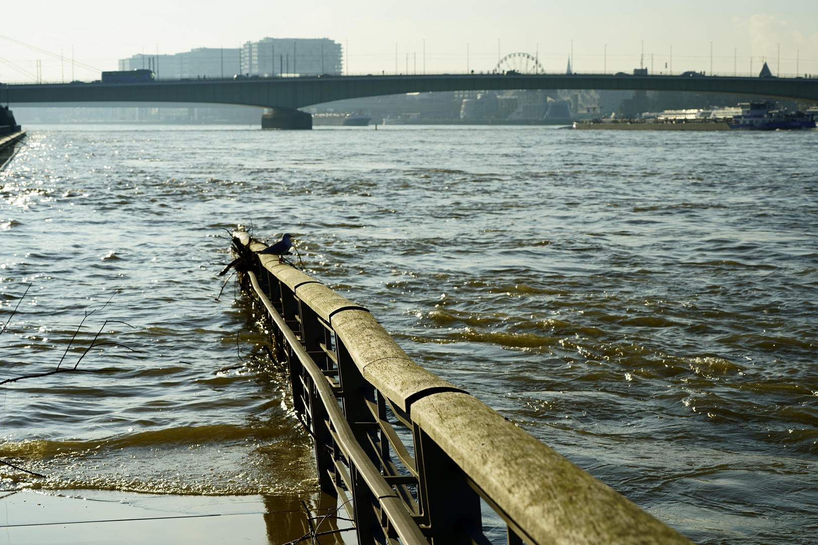 Köln - Hochwasser # 02