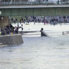 Köln-Hochwasser Pegel -8,36m # 06