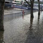 Köln - Hochwasser Pegel - 8,36m # 13