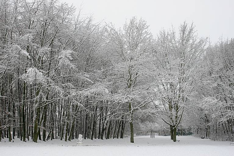 Köln - Holweide - Schnee 1