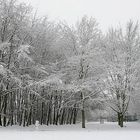 Köln - Holweide - Schnee 1