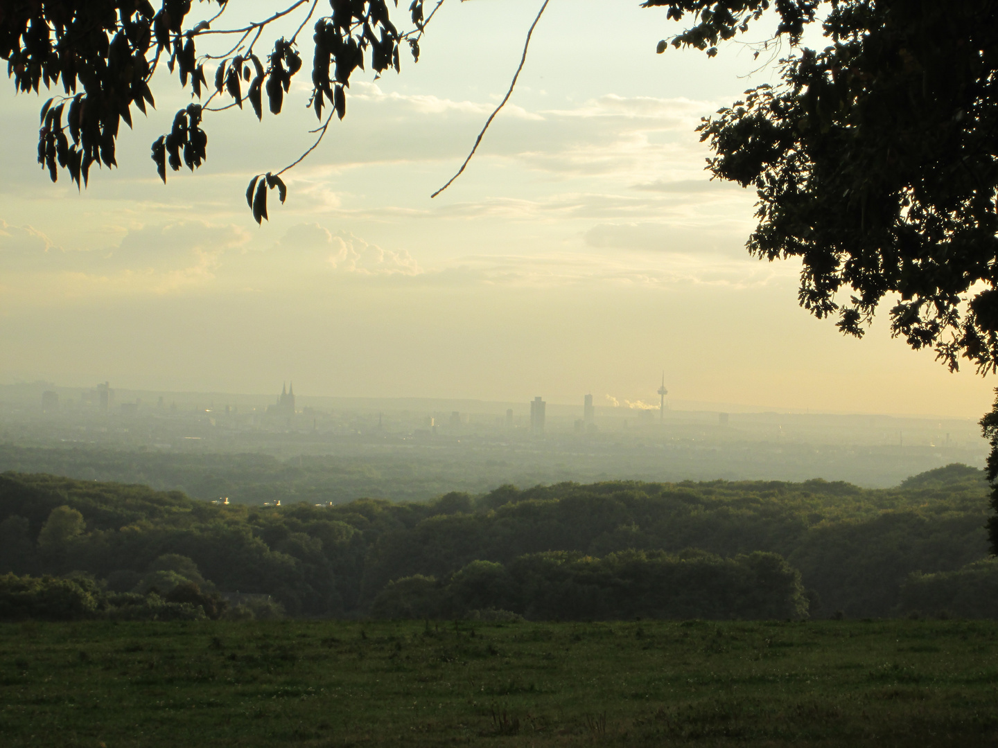 Köln im Dunst