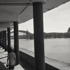 Köln, im Rheinpark mit Blick auf den Dom