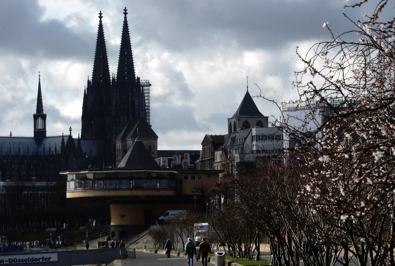 Köln im Vorfrühling