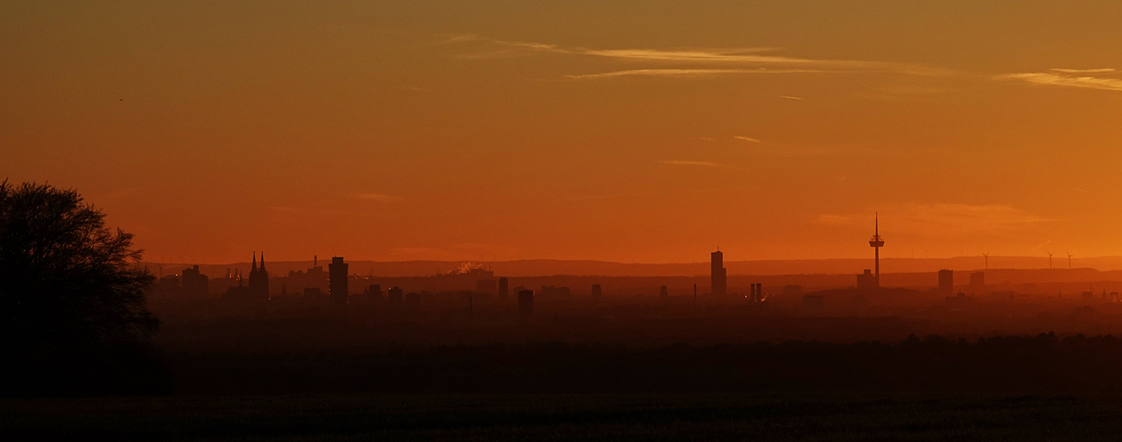 Köln in Abendstimmung