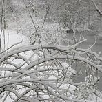 Köln - Isenburg - Schnee 4