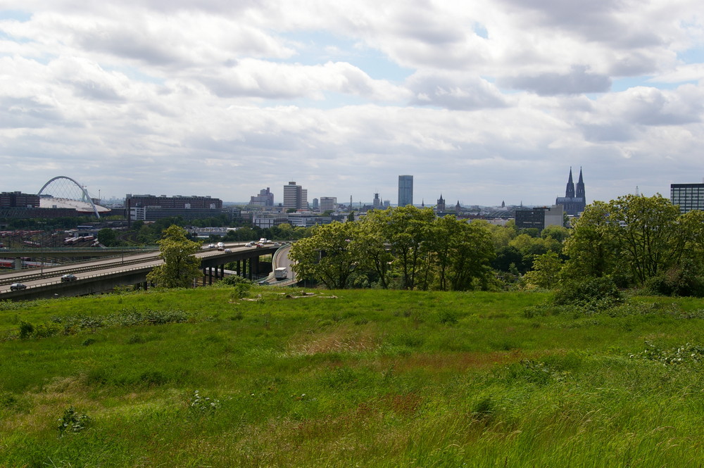 Köln-Panorama