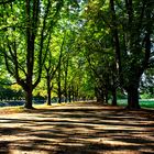 Köln Park 