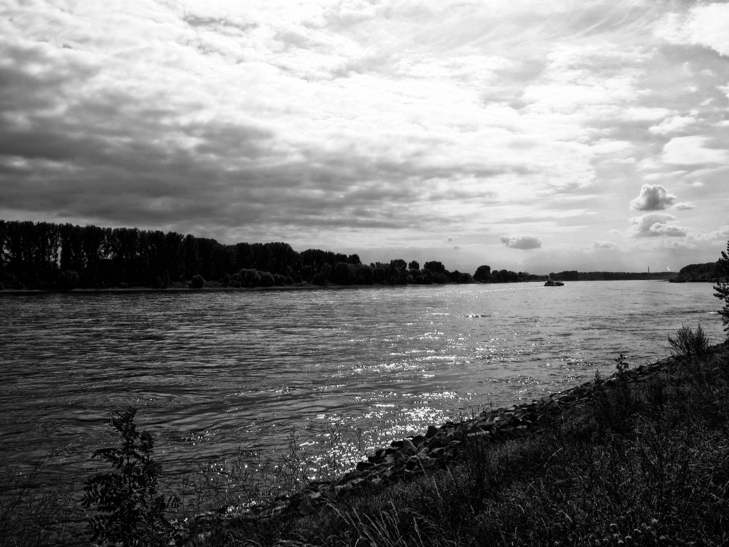 Köln (Spaziergang am Rhein)