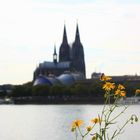 Köln Vorort-Blumenhafen - gelandet!