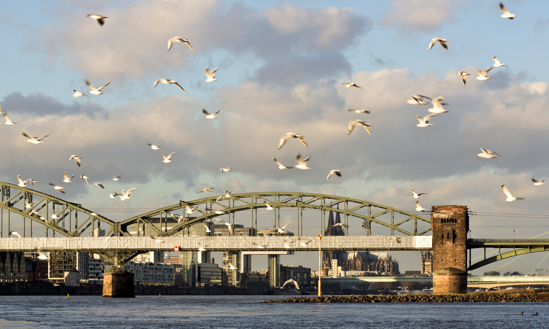 Köln: wieder extremer Flugverkehr vor Weihnachten