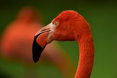 Köln Zoo