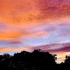 Kölner Abendhimmel heute