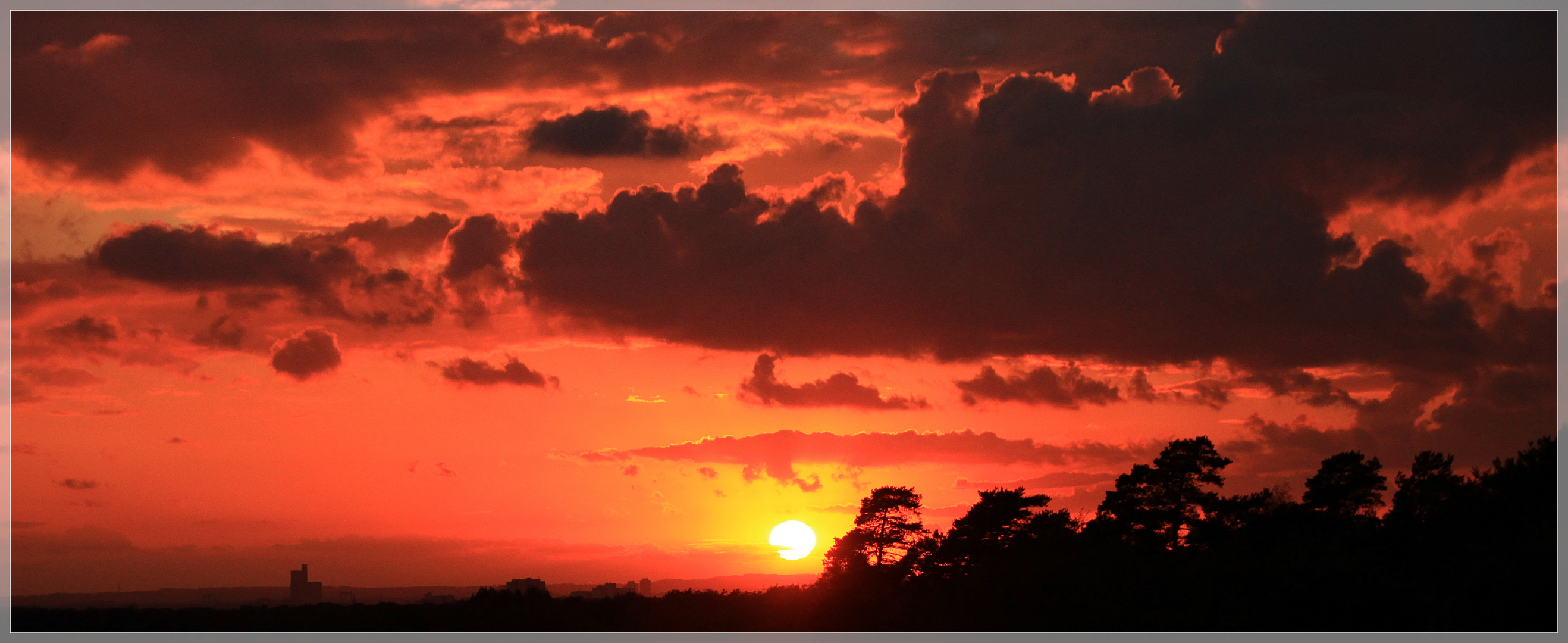 --Kölner Abendsonne--