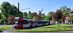 Kölner Bahn im grünen Bereich