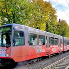 Kölner Bahn im Herbst