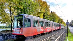 Kölner Bahn im Herbst