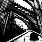 Kölner Dom 03