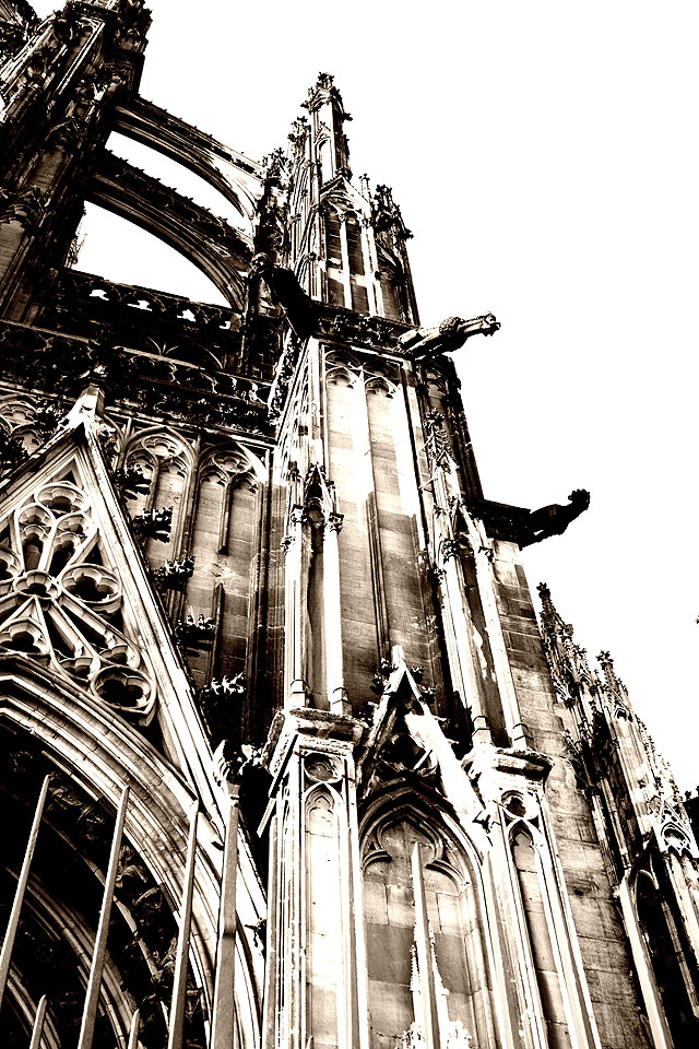 Kölner Dom 04