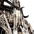 Kölner Dom 04