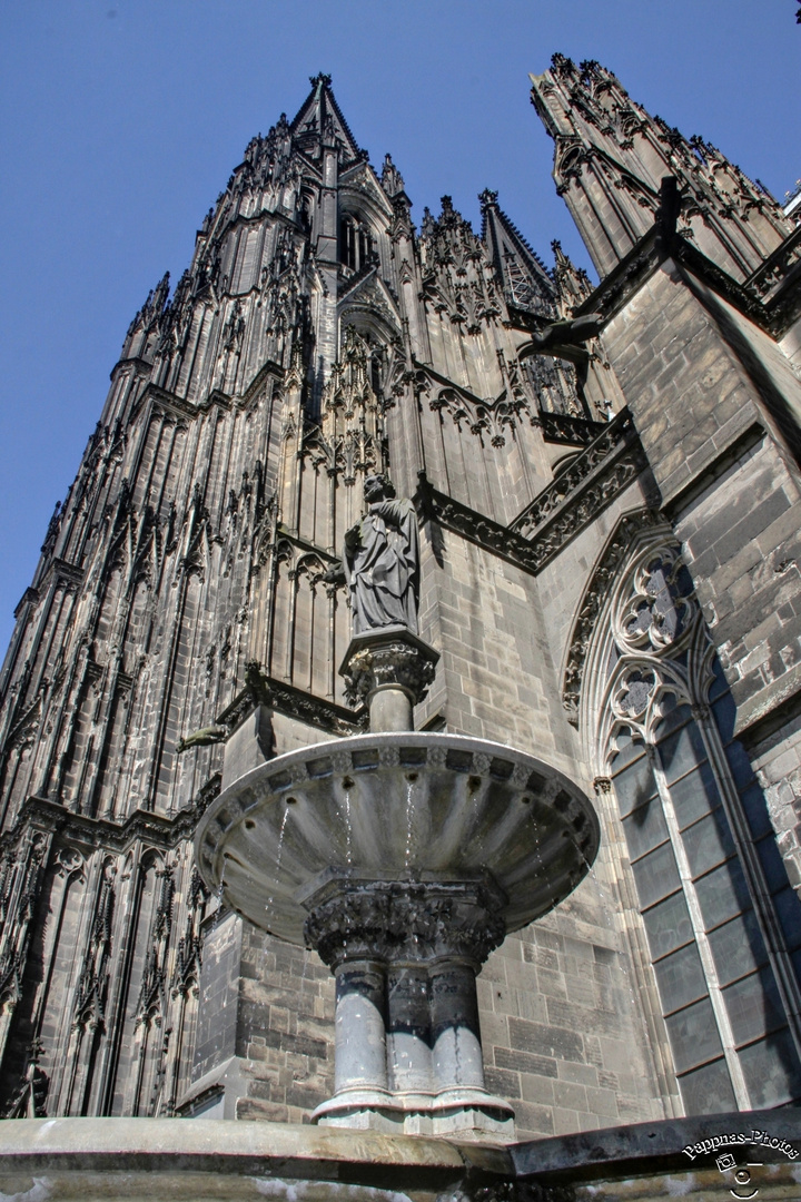 Kölner Dom  /09