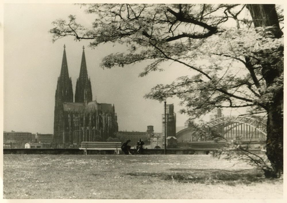 Kölner Dom 1955