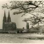 Kölner Dom 1955