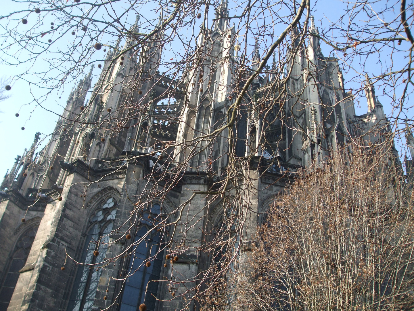 kölner dom