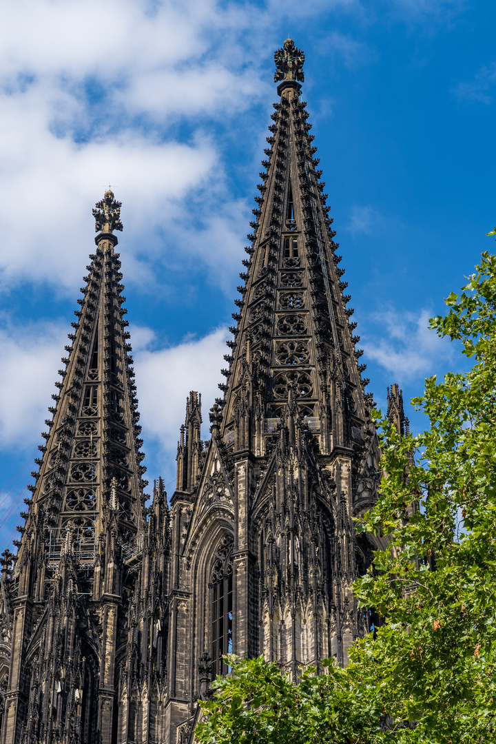 Kölner Dom