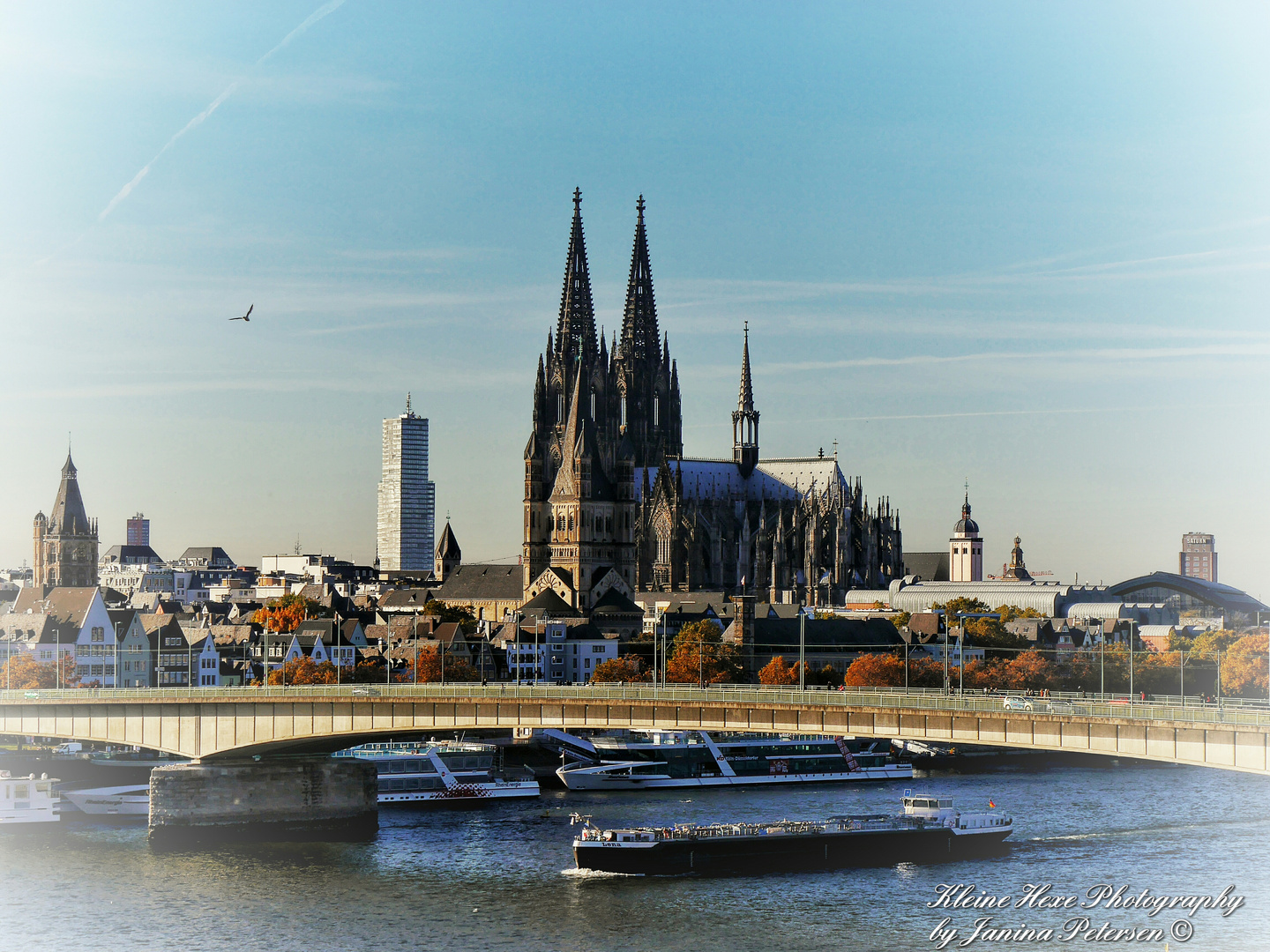 Kölner Dom