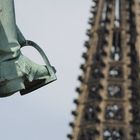 Kölner Dom