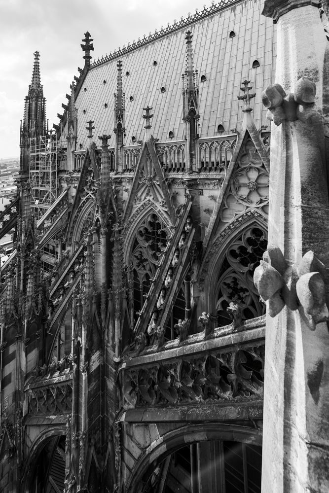 Kölner Dom