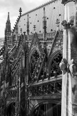 Kölner Dom