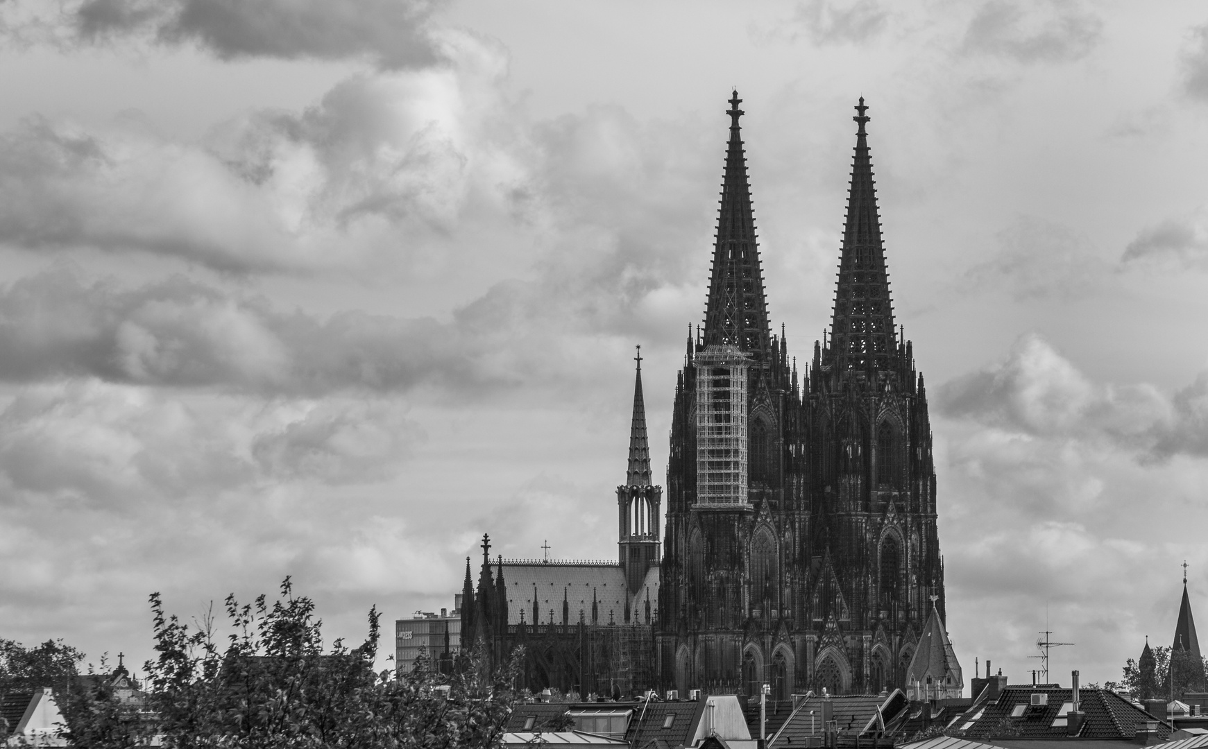 Kölner Dom