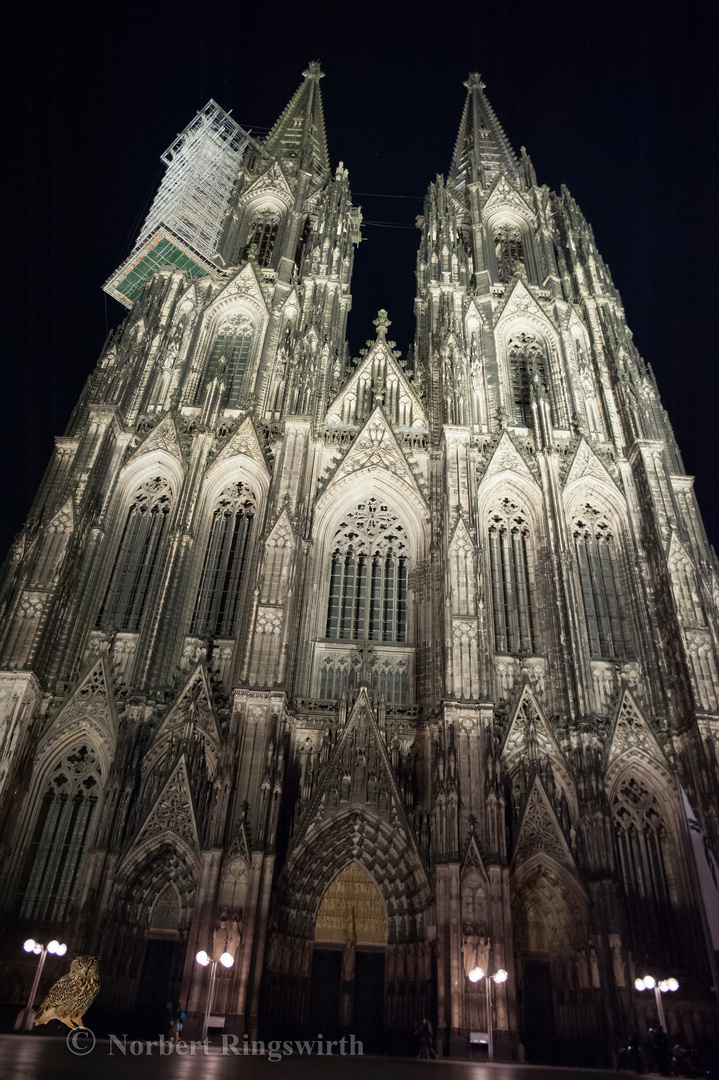 Kölner Dom