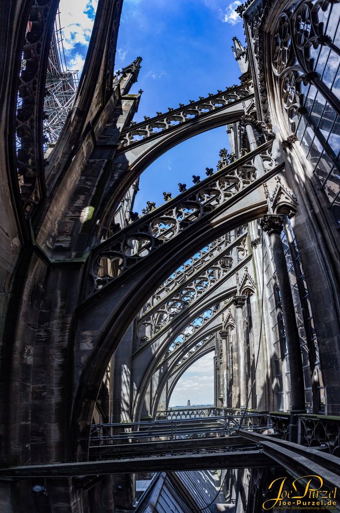 Kölner Dom