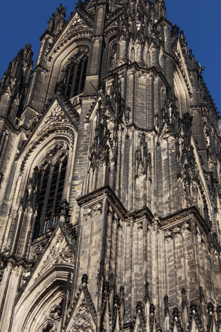 Kölner Dom