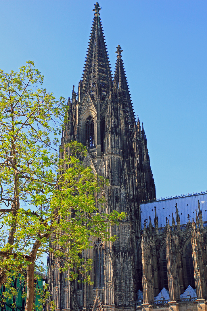 Kölner Dom 8