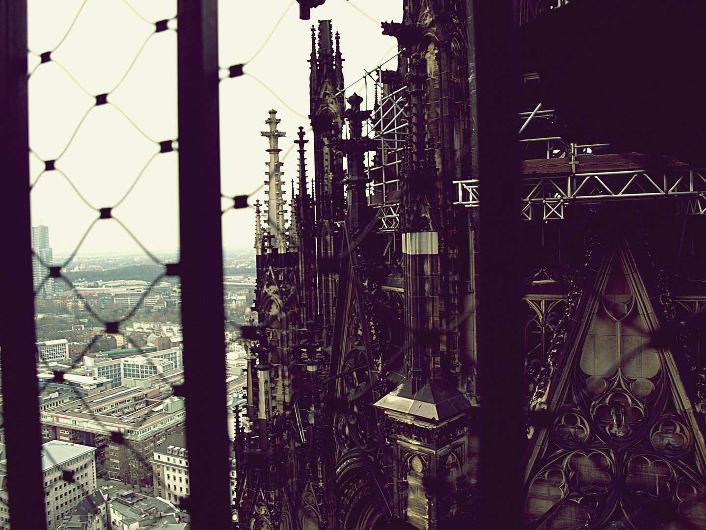 Kölner Dom