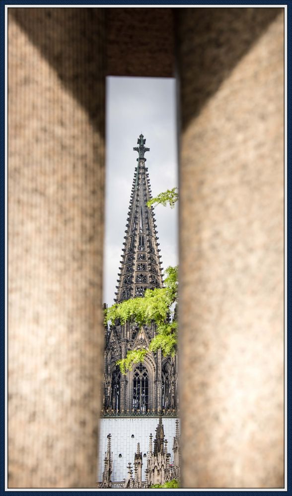 Kölner Dom