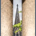 Kölner Dom