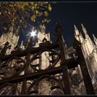 Kölner Dom Detail 1