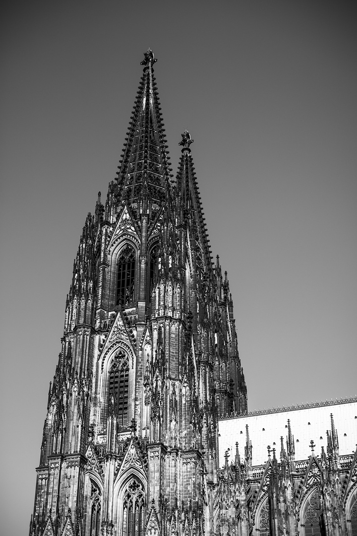 Kölner Dom