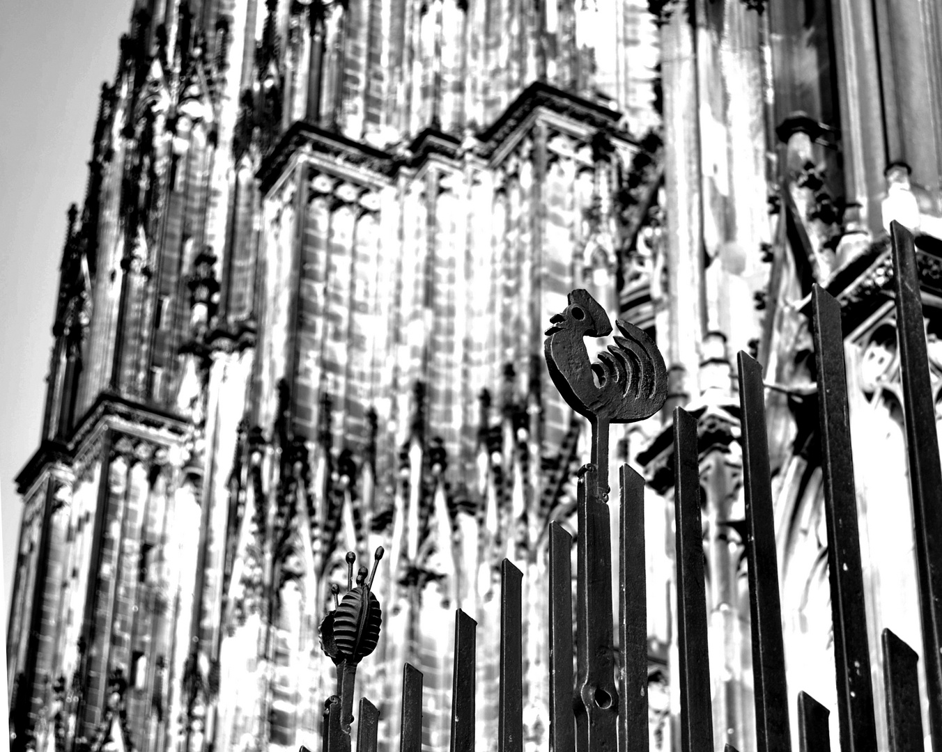 Kölner Dom II