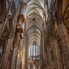 Kölner Dom III