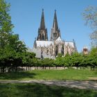 Kölner Dom im Grünen, der Rheingarten macht's möglich.